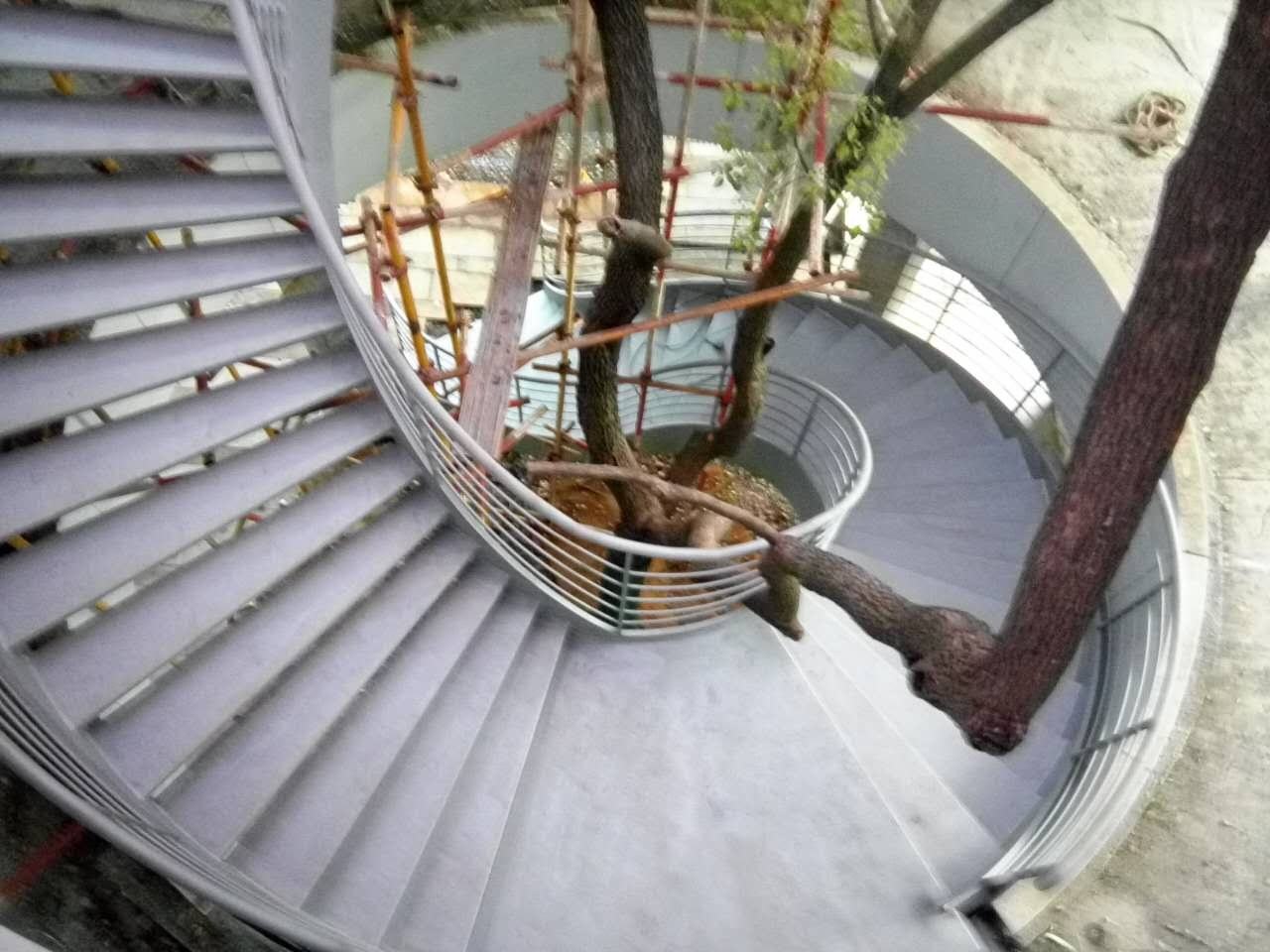 湖南常德环绕树木旋转楼梯 · 泓盈旋转钢楼梯完成实景